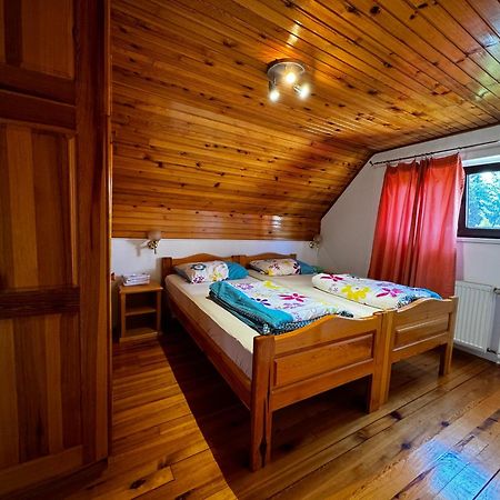 Vila IV Apartman Zlatibor Kültér fotó