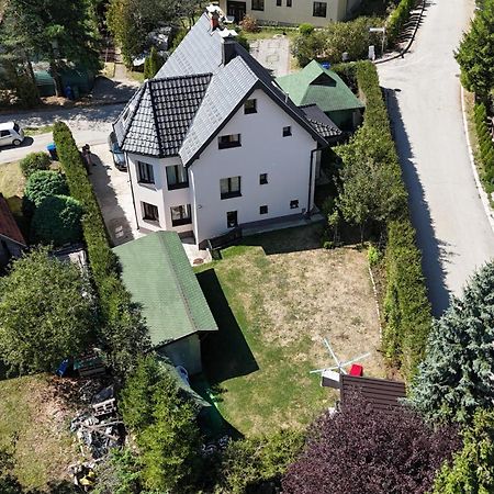 Vila IV Apartman Zlatibor Kültér fotó