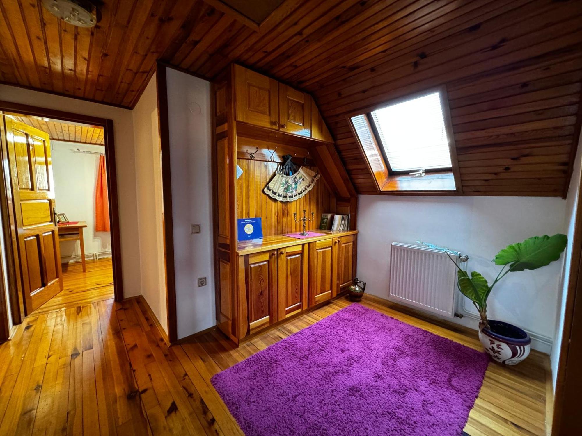 Vila IV Apartman Zlatibor Kültér fotó